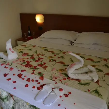 Domus Hotel 4*